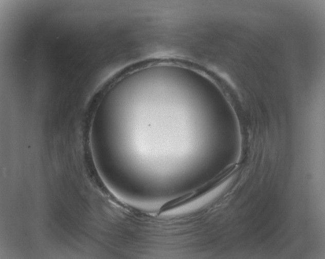 X0000082931311200702081530