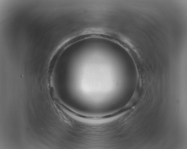 X0000082931312200702081530