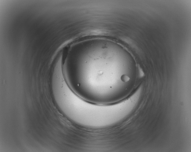 X0000082931314200702081530