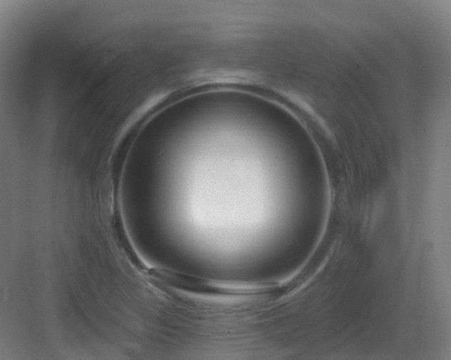 X0000082931317200702081530