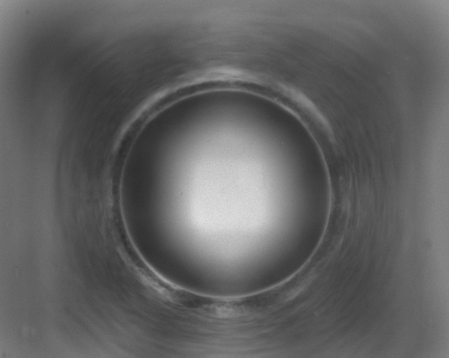 X0000082931318200702081530