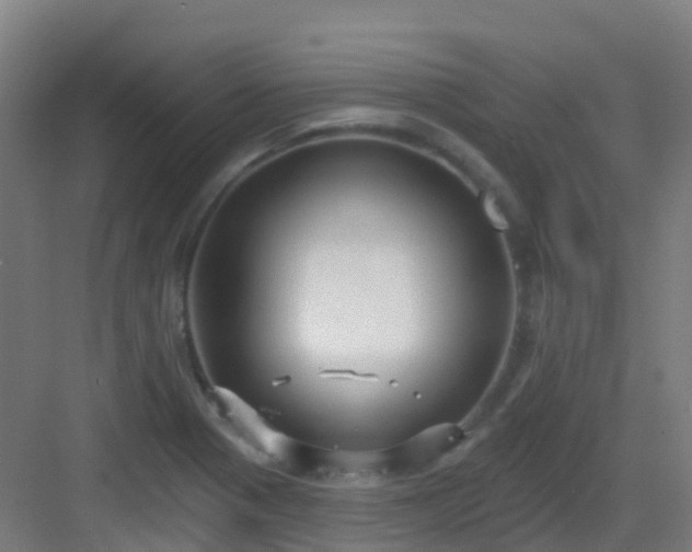 X0000082931321200702081530