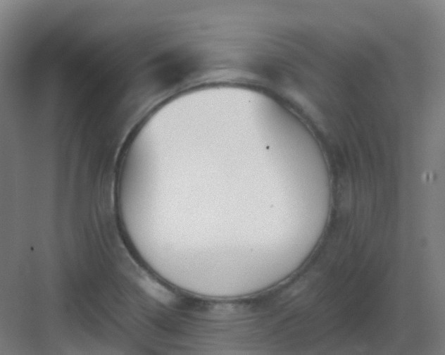 X0000082931322200702081530