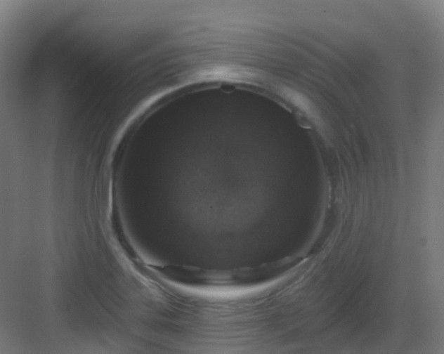 X0000082931323200702081530