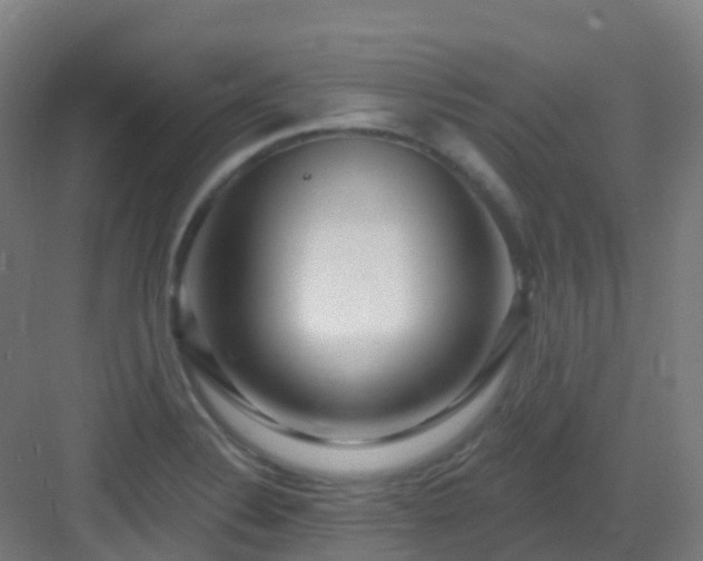 X0000082931324200702081530