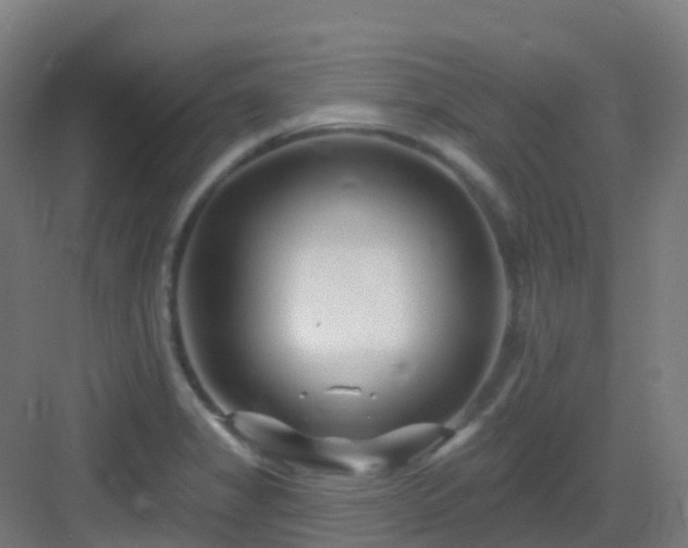 X0000082931325200702081530