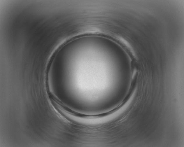 X0000082931326200702081530