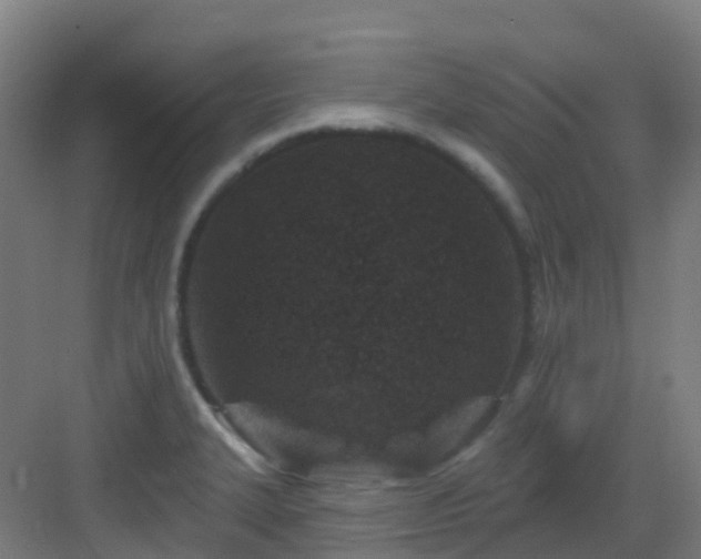 X0000082931327200702081530