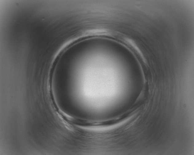 X0000082931328200702081530