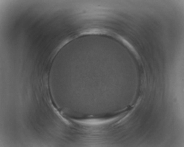 X0000082931329200702081530