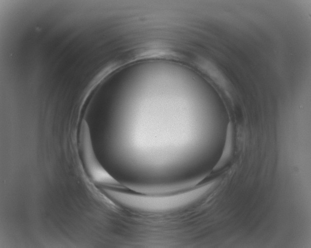 X0000082931330200702081530