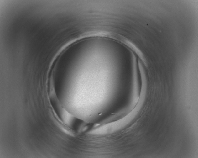 X0000082931332200702081530