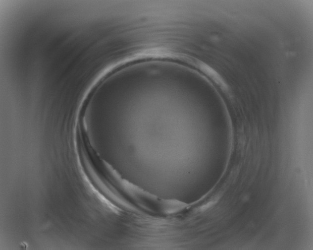 X0000082931334200702081530