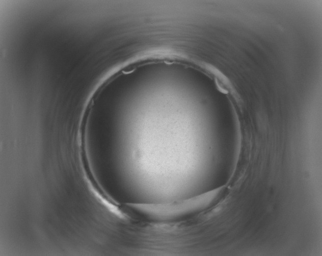 X0000082931335200702081530