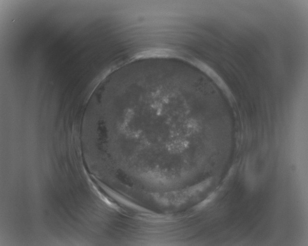 X0000082931337200702081530