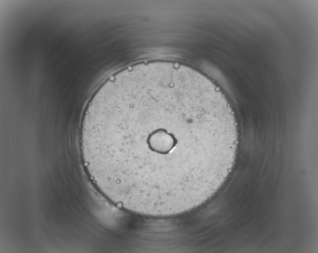 X0000082931338200702081530