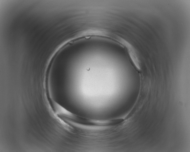 X0000082931339200702081530