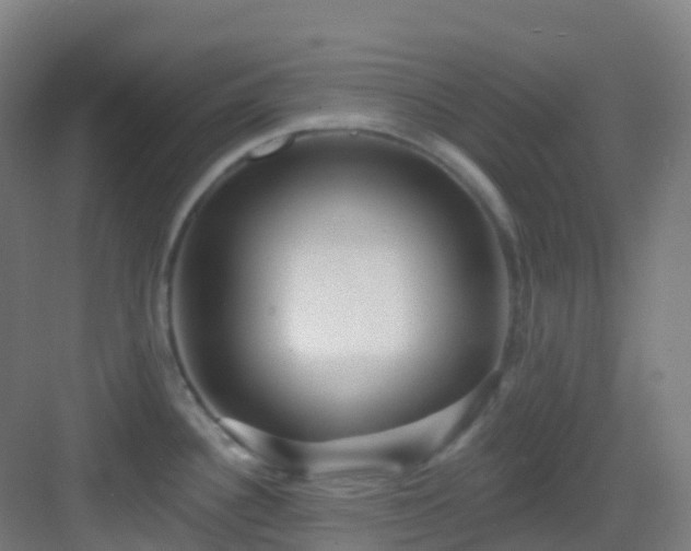 X0000082931340200702081530