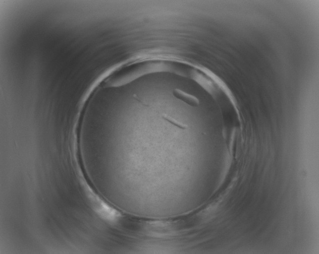 X0000082931341200702081531