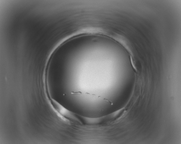 X0000082931343200702081531