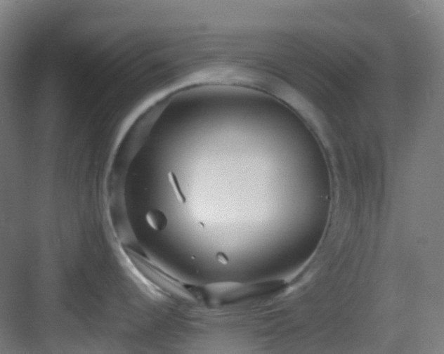 X0000082931344200702081531