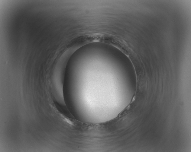 X0000082931345200702081530