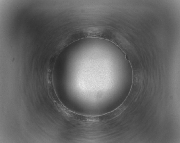 X0000082931346200702081530