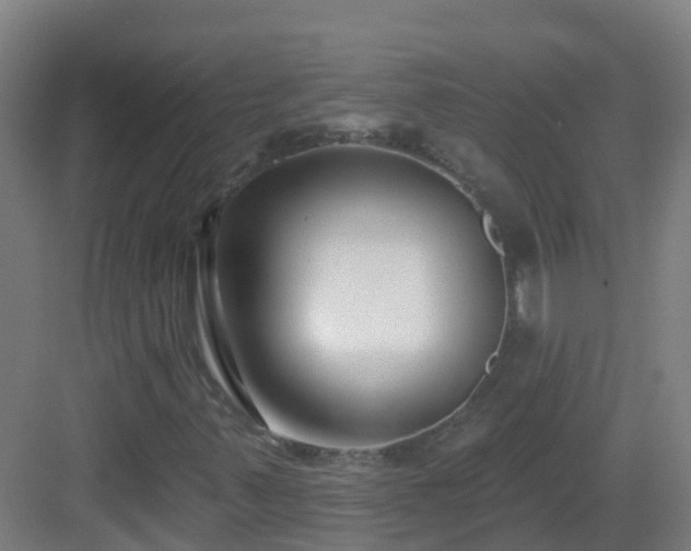 X0000082931347200702081530