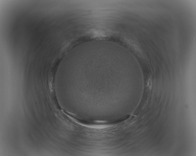 X0000082931348200702081530