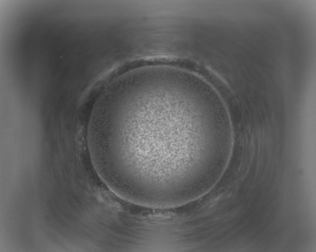 X0000082931351200702081530