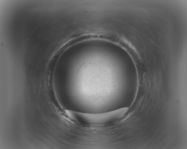 X0000082931352200702081530