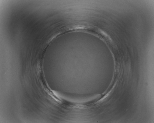 X0000082931353200702081530