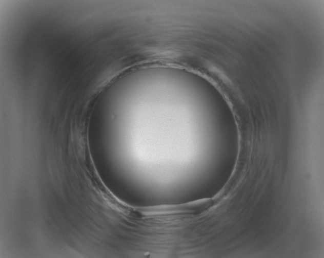 X0000082931354200702081530