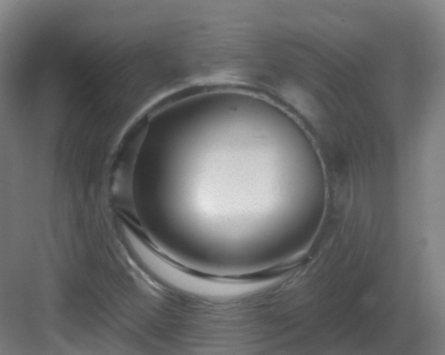 X0000082931356200702081530