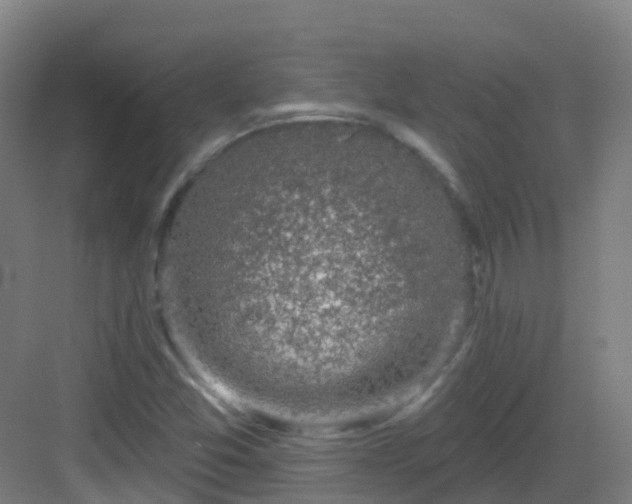 X0000082931357200702081530