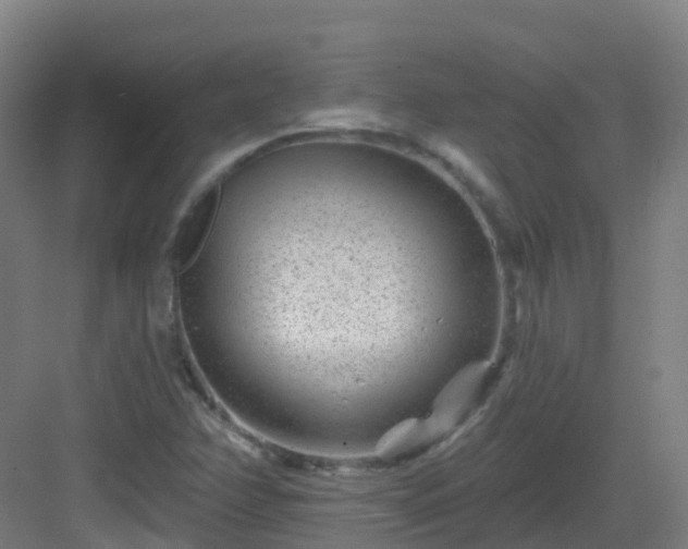 X0000082931358200702081530