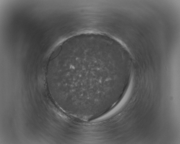 X0000082931359200702081529