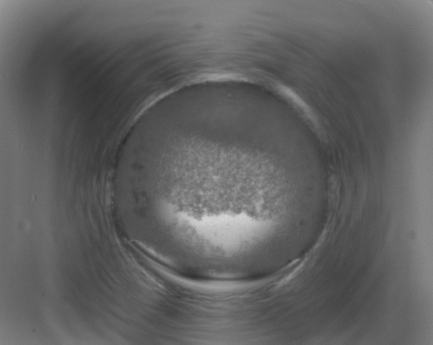 X0000082931361200702081529