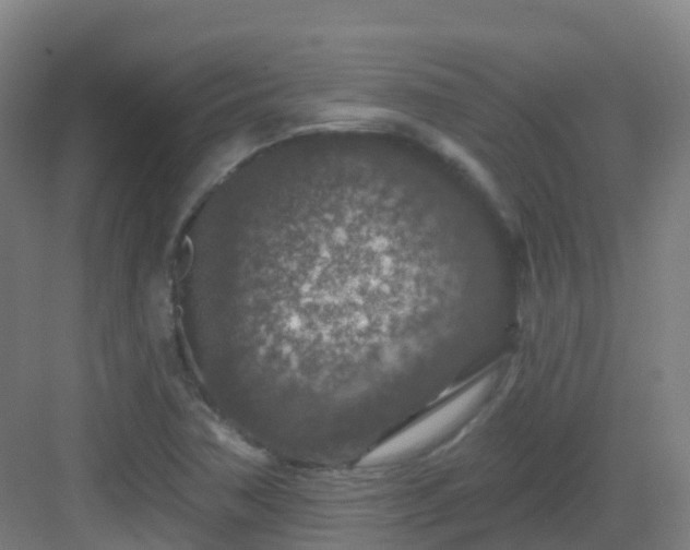 X0000082931362200702081529