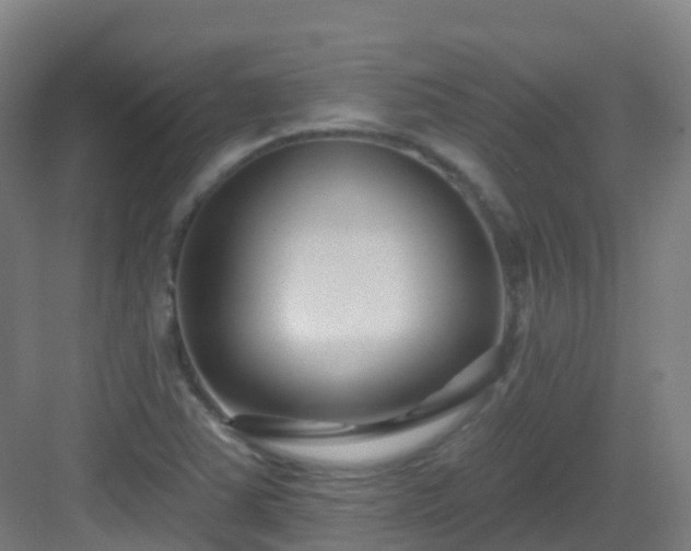 X0000082931363200702081529