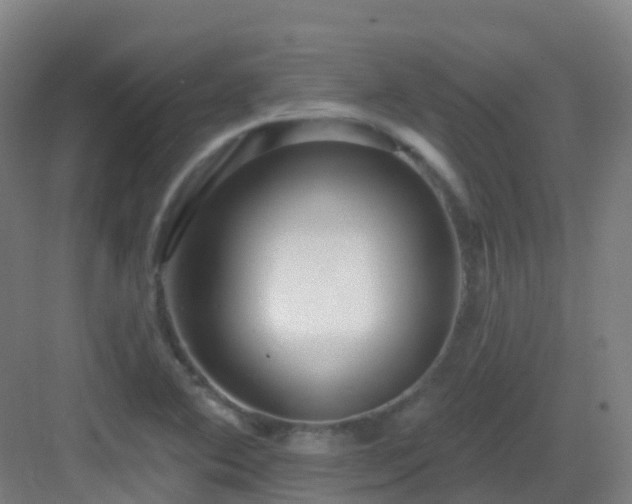 X0000082931364200702081529