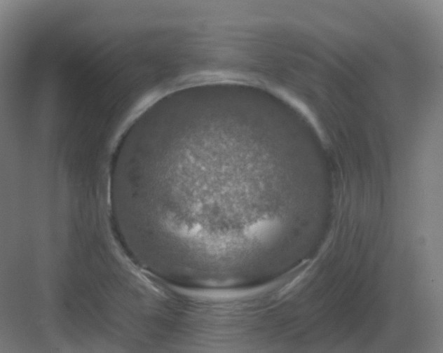 X0000082931365200702081529