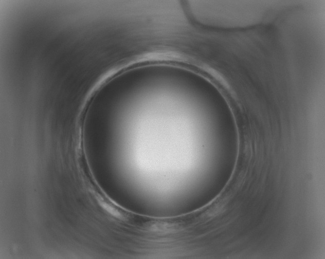 X0000082931366200702081529