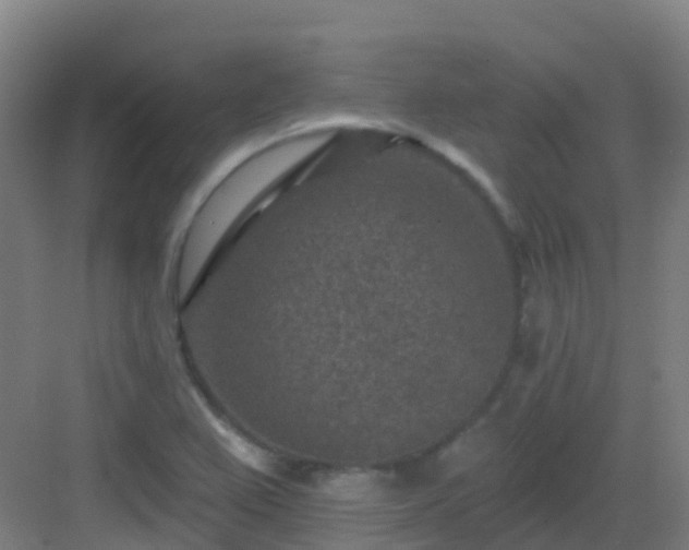 X0000082931367200702081529