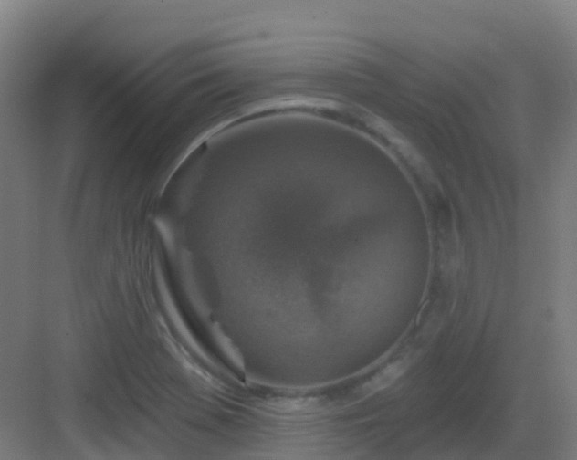 X0000082931369200702081529