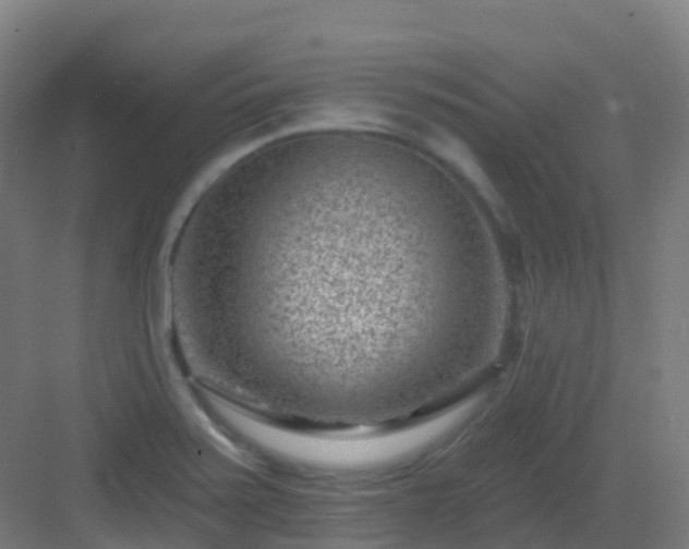 X0000082931371200702081529