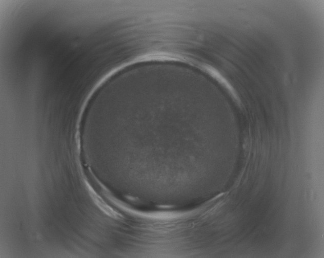 X0000082931372200702081529