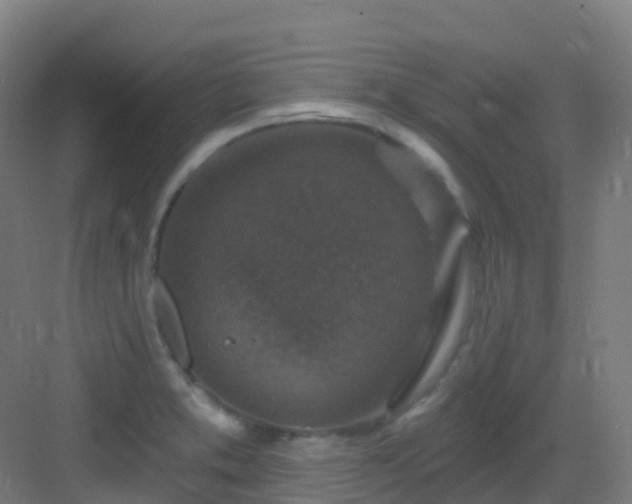 X0000082931373200702081529