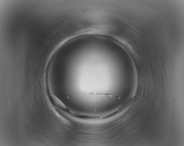 X0000082931375200702081529