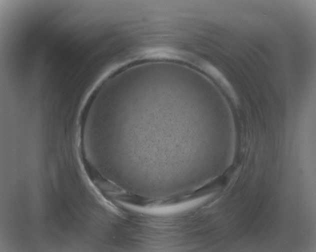 X0000082931376200702081529